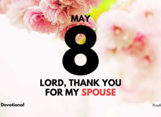 Reviving Love in Marriage – Daily Devotional for May 8 Reviving Love in Marriage daily Devotional for May 8
