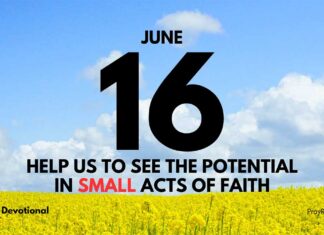 The Power of Humble Beginnings – Daily Devotional for June 16 The Power of Humble Beginnings daily Devotional for June 16