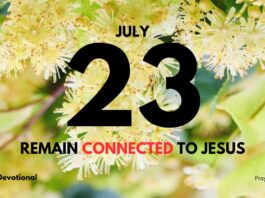 The Vine and the Branches daily Devotional for July 23