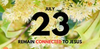 The Vine and the Branches – Daily Devotional for July 23 The Vine and the Branches daily Devotional for July 23