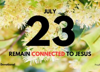 The Vine and the Branches – Daily Devotional for July 23 The Vine and the Branches daily Devotional for July 23