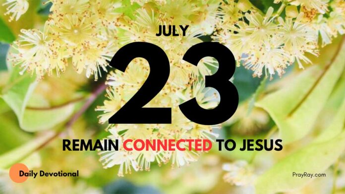 The Vine and the Branches daily Devotional for July 23