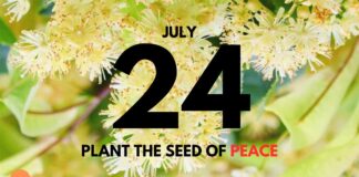 Spiritual Gardening – Daily Devotional for July 24 Spiritual Gardening daily Devotional for July 24