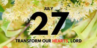 The Parable of the Weeds – Daily Devotional for July 27 Parable of the Weeds daily Devotional for July 27