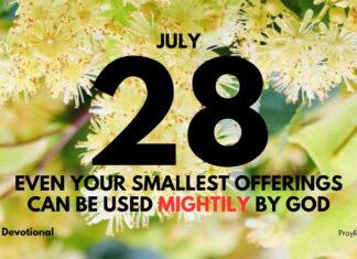 Offering Our Gifts – Daily Devotional for July 28 Offering Our Gifts daily Devotional for July 28
