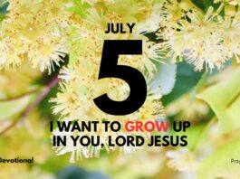 Emotional Discipline Daily Devotional for July 5