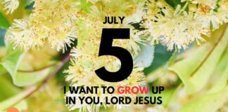 Emotional Discipline – Daily Devotional for July 5 Emotional Discipline Daily Devotional for July 5