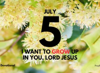 Emotional Discipline – Daily Devotional for July 5 Emotional Discipline Daily Devotional for July 5