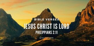 20 Acknowledge God Bible Verses 20 Acknowledge God Bible Verses