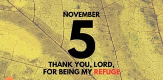 Find Refuge in God – Daily Devotional for November 5 Find Refuge in God daily Devotional for November 5