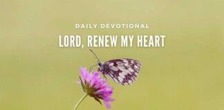 Easter Octave Devotional Day 8 – Carriers of Divine Mercy Easter Octave Devotional Day 8 - Carriers of Divine Mercy