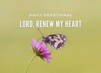 Easter Octave Devotional Day 8 – Carriers of Divine Mercy Easter Octave Devotional Day 8 - Carriers of Divine Mercy