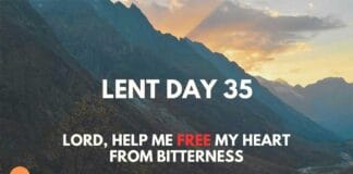 Lenten Devotional – Day 35: Let Go of Bitterness Lenten Devotional - Day 35: Let Go of Bitterness