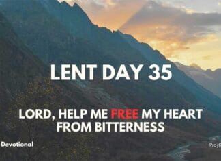 Lenten Devotional – Day 35: Let Go of Bitterness Lenten Devotional - Day 35: Let Go of Bitterness