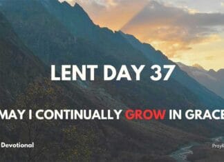 Lenten Devotional – Day 37: Your New Beginning in Christ Lenten Devotional - Day 37: Your New Beginning in Christ