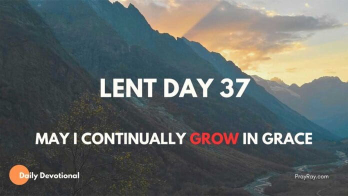 Lenten Devotional - Day 37: Your New Beginning in Christ Lenten Devotional - Day 37: Your New Beginning in Christ