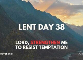 Lenten Devotional – Day 38: Walk in Freedom with Christ Lenten Devotional - Day 38: Walk in Freedom with Christ