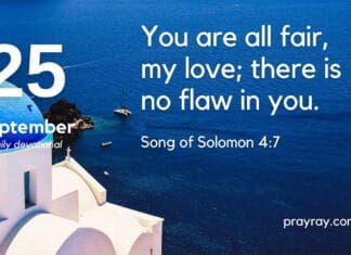 The Trap of Comparison – Daily Devotional for September 25 The Trap of Comparison daily Devotional for September 25