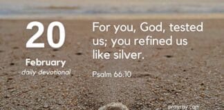 Surrender and Trust – Daily Devotional for February 20 Surrender and Trust Daily Devotional for February 20