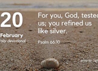 Surrender and Trust – Daily Devotional for February 20 Surrender and Trust Daily Devotional for February 20