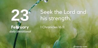 Seek God Earnestly – Daily Devotional for February 23 Seek God Earnestly daily Devotional for February 23