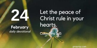 True Fulfillment – Daily Devotional for February 24 True Fulfillment daily Devotional for February 24