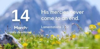 The Power of a New Beginning – Daily Devotional for March 14 Power of a New Beginning daily Devotional for March 14