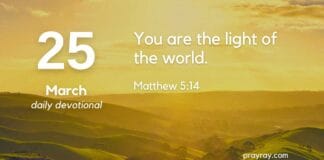 The Power of Salt and Light – Daily Devotional for March 25 The Power of Salt and Light daily Devotional for March 25