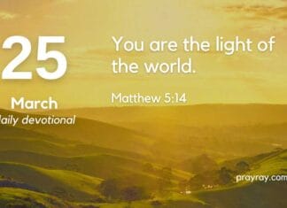 The Power of Salt and Light – Daily Devotional for March 25 The Power of Salt and Light daily Devotional for March 25