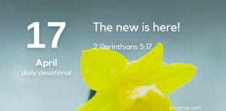 Transformation as Testimony – Daily Devotional for April 17 Transformation as Testimony Daily Devotional for April 17