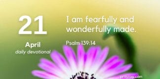 The God of the Microscope – Daily Devotional for April 21 God of the Microscope Daily Devotional for April 21