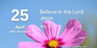 The Point of No Return – Daily Devotional for April 25 Point of No Return daily Devotional for April 25