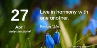 The Wrong Target – Daily Devotional for April 27 Wrong Target Daily Devotional for April 27
