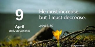 Witnesses, Not Lawyers – Daily Devotional for April 9 Witnesses, Not Lawyers – Daily Devotional for April 9