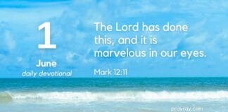 The Vineyard of the Heart – Daily Devotional for June 1 The Vineyard of the Heart Daily Devotional for June 1