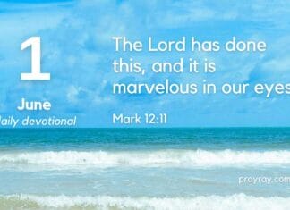 The Vineyard of the Heart – Daily Devotional for June 1 The Vineyard of the Heart Daily Devotional for June 1