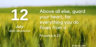 Cultivating a Tidy Heart – Daily Devotional for July 12 Cultivating a Tidy Heart daily Devotional for July 12