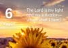 The Light on the Mountain – Daily Devotional for August 6 The Light on the Mountain – Daily Devotional for August 6
