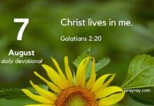 The Freedom of Letting Go – Daily Devotional for August 7 The Freedom of Letting Go daily Devotional for August 7