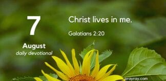The Freedom of Letting Go – Daily Devotional for August 7 The Freedom of Letting Go daily Devotional for August 7
