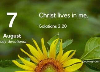 The Freedom of Letting Go – Daily Devotional for August 7 The Freedom of Letting Go daily Devotional for August 7