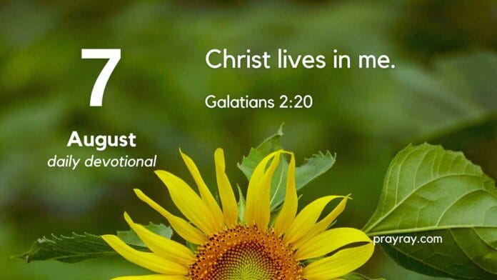 The Freedom of Letting Go – Daily Devotional for August 7 The Freedom of Letting Go daily Devotional for August 7